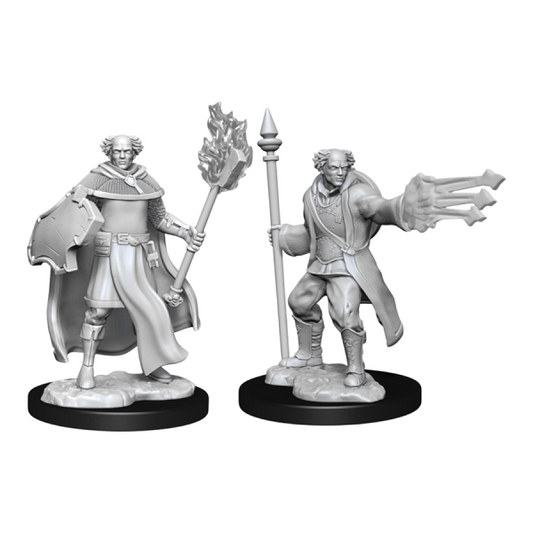 Dungeons & Dragons - Nolzur's Marvelous Unpainted Minis: Multiclass Cleric Wizard Male