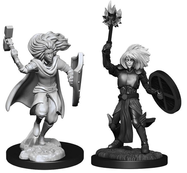 Dungeons & Dragons - Nolzur's Marvelous Unpainted Miniatures: Changeling Cleric Male - Gametraders Modbury Heights