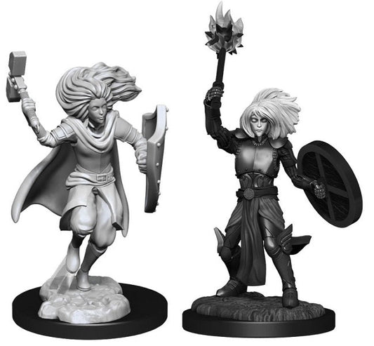 Dungeons & Dragons - Nolzur's Marvelous Unpainted Miniatures: Changeling Cleric Male - Gametraders Modbury Heights