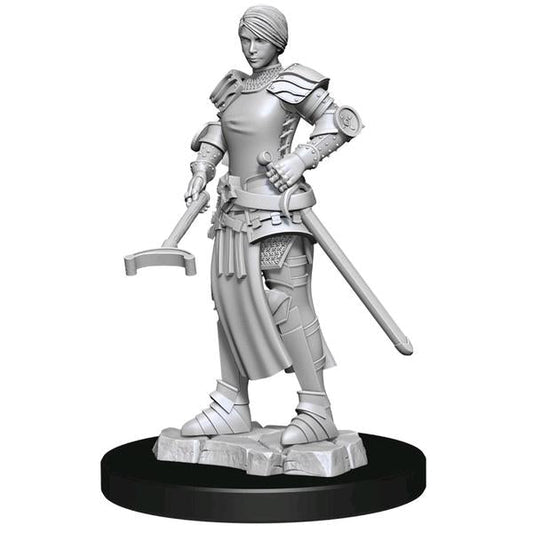 WizKids - Deep Cuts Unpainted Miniatures: Towns People: Castle 2 - Gametraders Modbury Heights